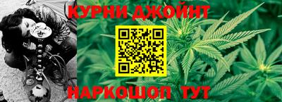крисы Ливны
