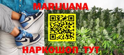 крисы Ливны